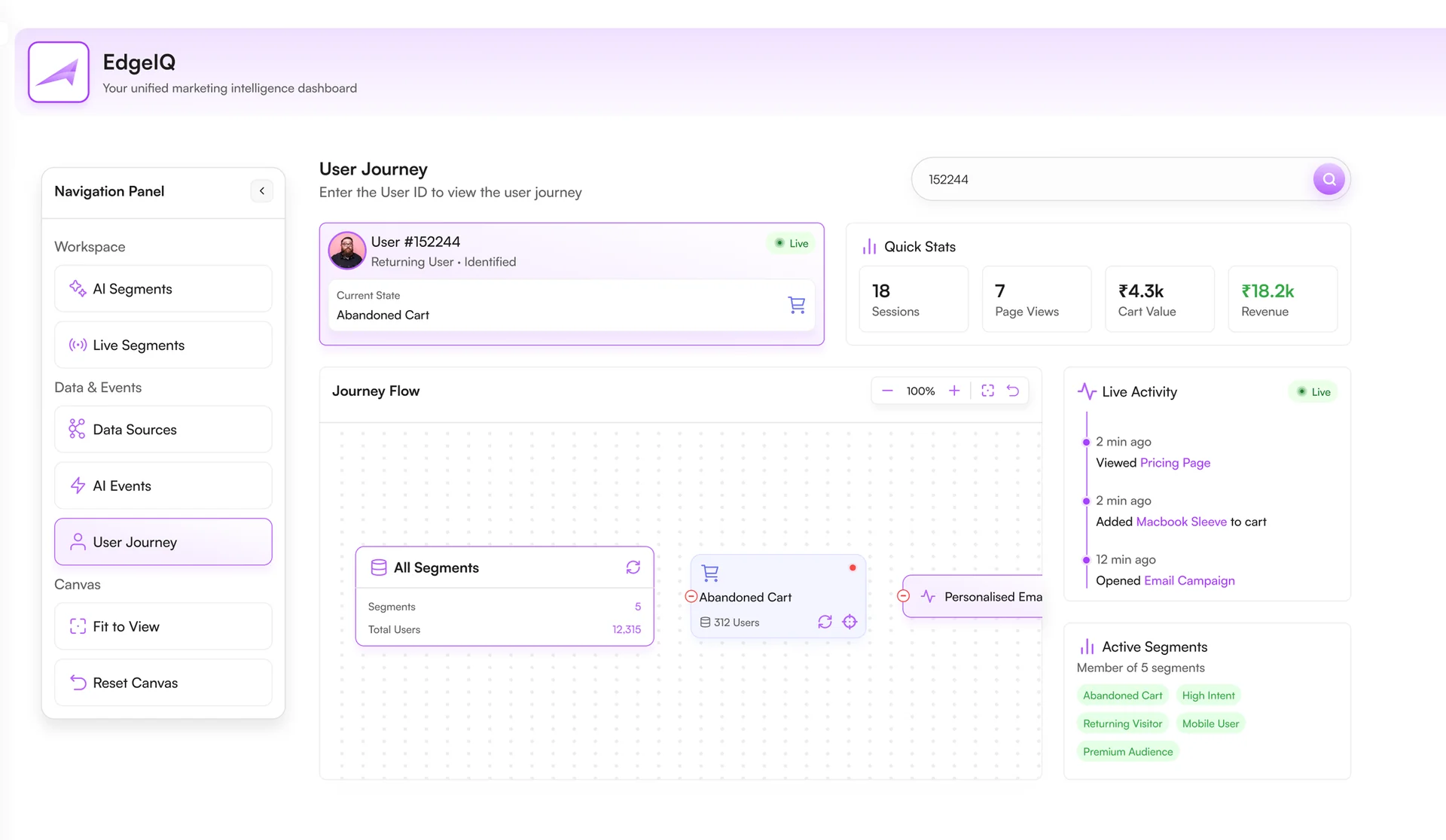 EdgeIQ customer data platform dashboard with audience segmentation and journey mapping